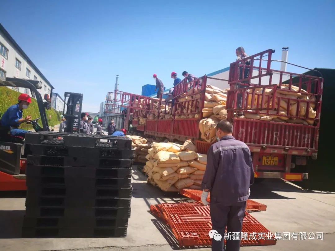 戰(zhàn)疫情，再出發(fā)