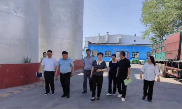 提信心 促發(fā)展|奎屯市副市長、伊犁州科技局局長、奎屯市科技局局長一行調(diào)研金雪馳奎屯工廠